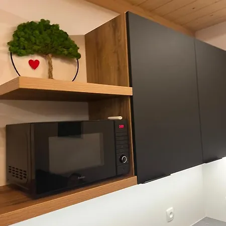 Holiday home Tiny W Dolinie Popradu, Piwniczna-Zdroj