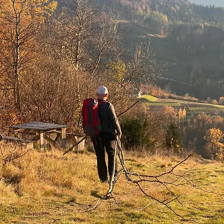 Maly Tiny W Gorach Z Kominkiem , Ferienhaus Piwniczna-Zdroj